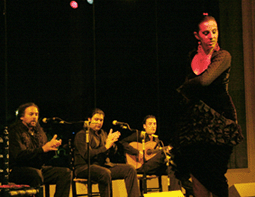Noche de flamenco y poesía