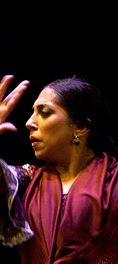 Programa flamenco