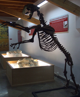 El museo de Orce