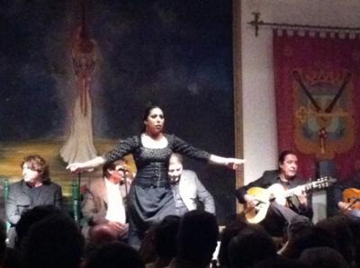 Flamenca flamenca